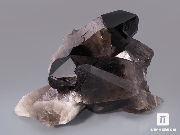 Раухтопаз (дымчатый кварц), сросток кристаллов 19,5х16,5х11 см, 10-609, фото 4