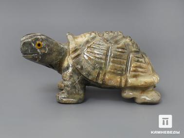 Агальматолит. Черепаха из агальматолита, 8х4,1х3,8 см