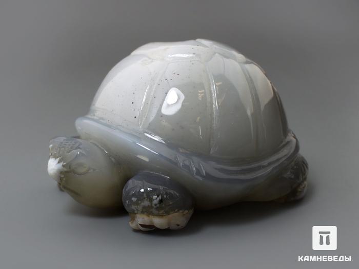 Черепаха из агата с жеодой, 8,2х6,6х4,7 см, 23-303/8, фото 1