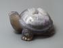 Черепаха из агата с жеодой, 8,7х7х4,3 см, 23-303/7, фото 1