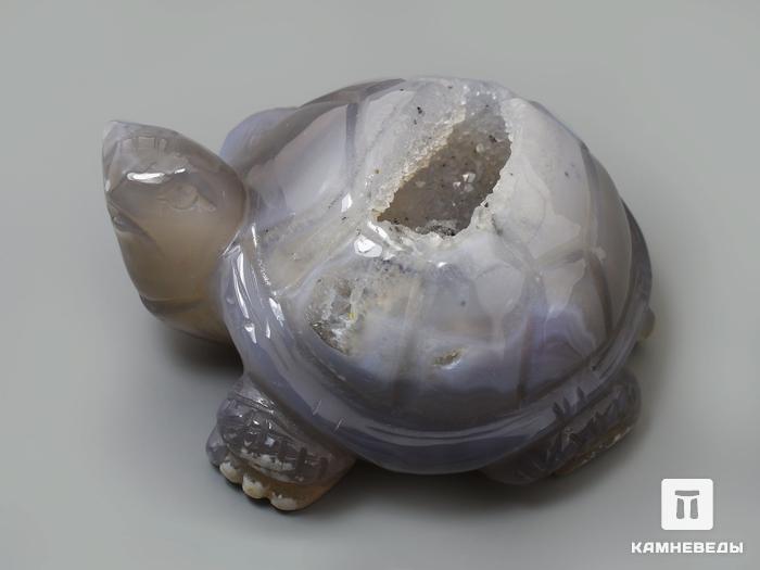 Черепаха из агата с жеодой, 8,7х7х4,3 см, 23-303/7, фото 2