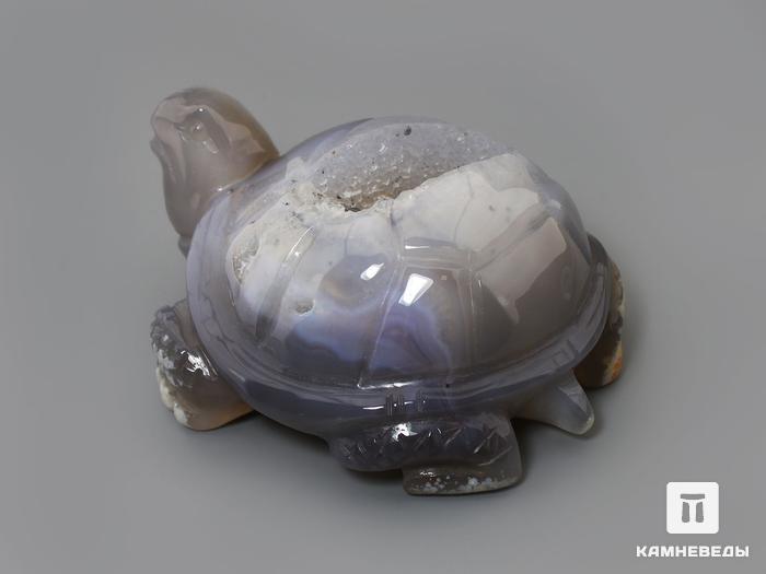Черепаха из агата с жеодой, 8,7х7х4,3 см, 23-303/7, фото 3