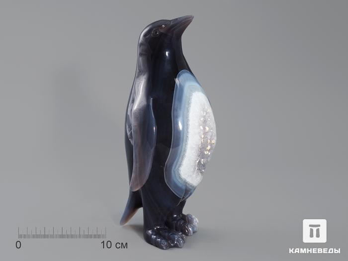 Пингвин из агата с жеодой, 19,5х11,4х8 см, 23-181/2, фото 1