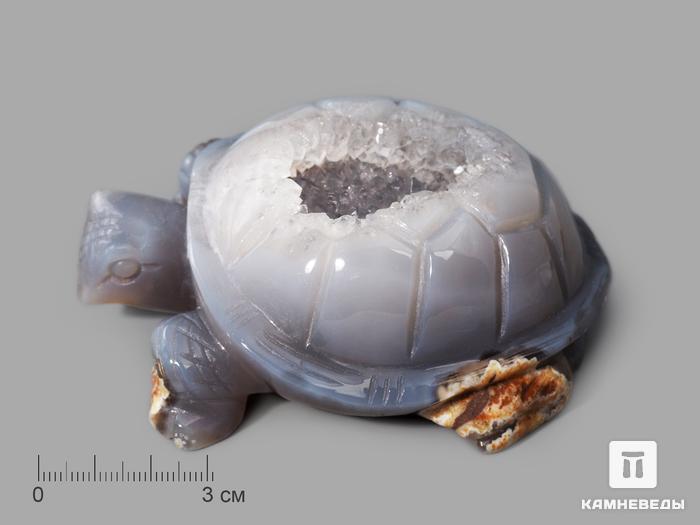 Черепаха из агата с жеодой, 10х8х4,2 см, 23-303/6, фото 1
