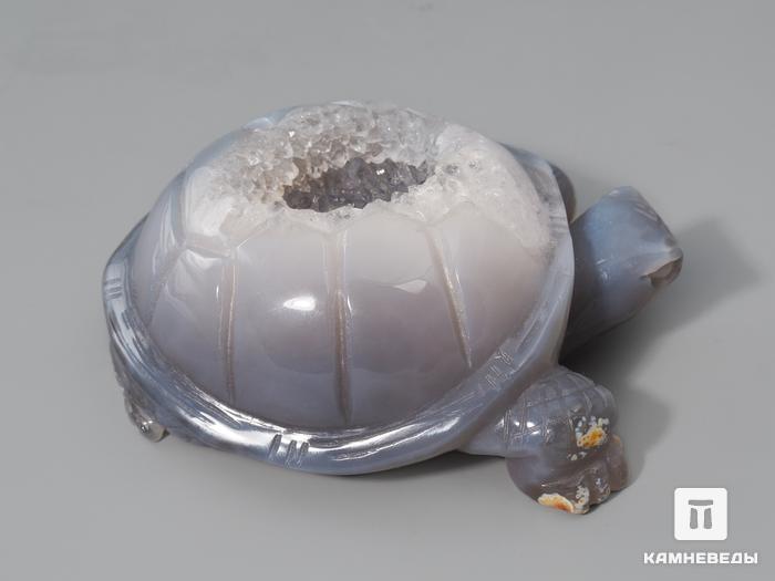 Черепаха из агата с жеодой, 10х8х4,2 см, 23-303/6, фото 2