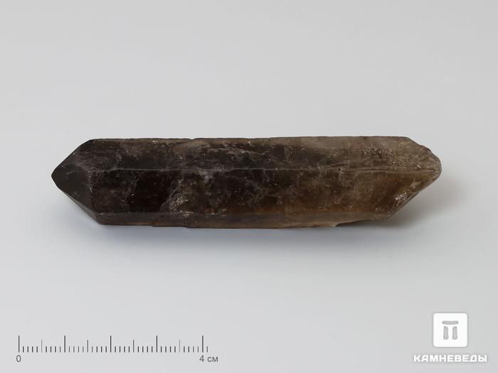 Раухтопаз (дымчатый кварц), кристалл 8,2-8,5 см, 10-610/1, фото 3