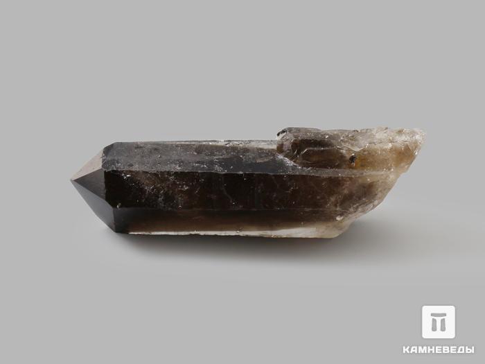 Раухтопаз (дымчатый кварц), кристалл 6-7,5 см, 10-610, фото 2