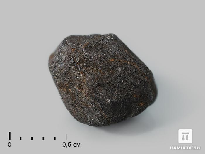 Метеорит Челябинск LL5, 9х8х7 мм, 10-23/20, фото 1