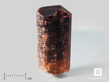 Рубеллит, Турмалин. Рубеллит (турмалин), кристалл 3,4х1,7х1,4 см