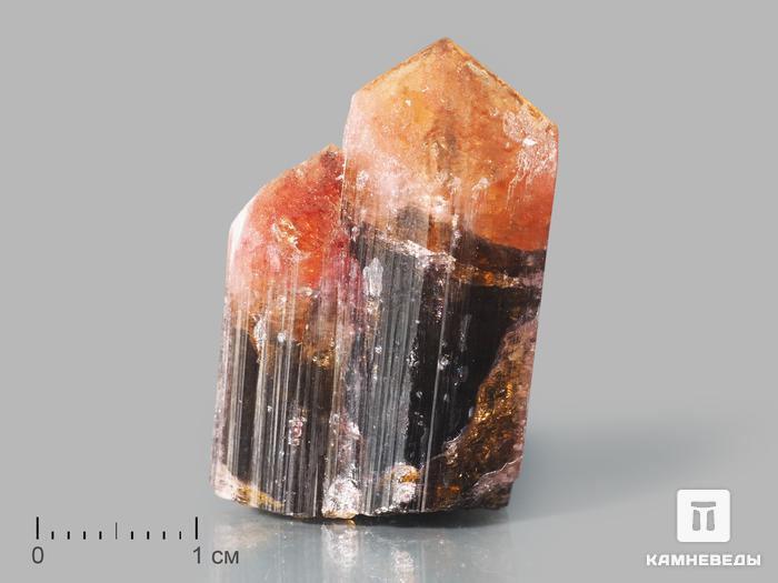 Турмалин полихромный, сросток кристаллов 3х1,9х1,7 см, 10-621/1, фото 1