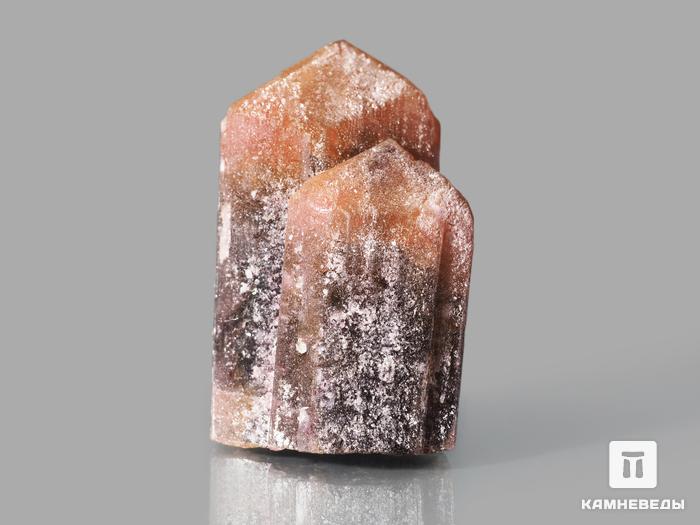 Турмалин полихромный, сросток кристаллов 3х1,9х1,7 см, 10-621/1, фото 3