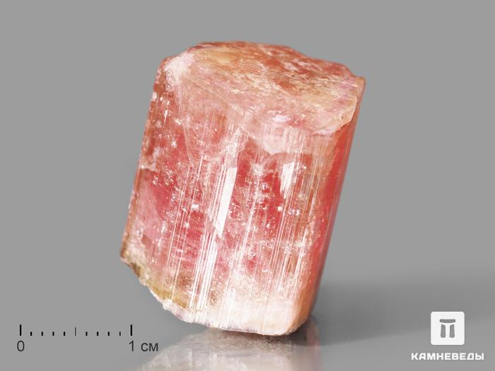 Турмалин (рубеллит), кристалл 2,3х2,1х1,7 см, 10-621/13, фото 1