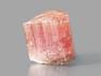 Турмалин (рубеллит), кристалл 2,3х2,1х1,7 см, 10-621/13, фото 2