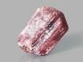 Турмалин (рубеллит), кристалл 3,3х2,2х1,6 см, 10-621/3, фото 1