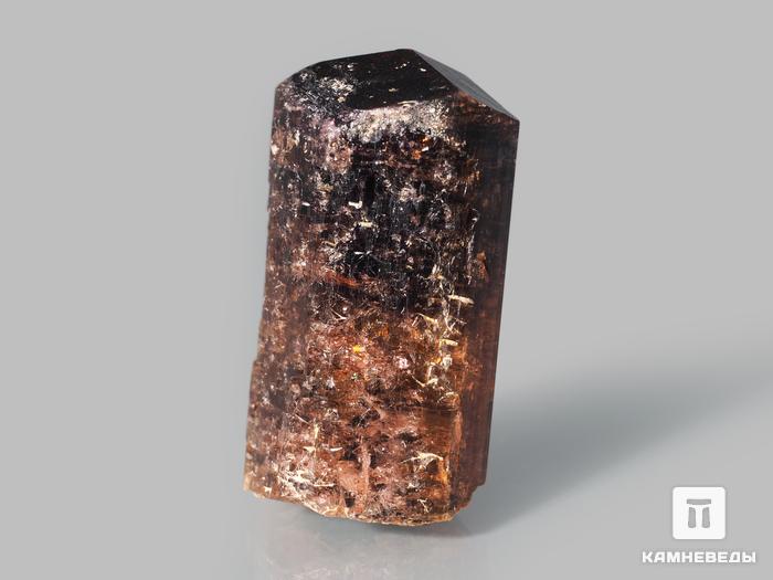 Турмалин арбузный, кристалл 2,8х1,6х1,3 см, 10-621/2, фото 2