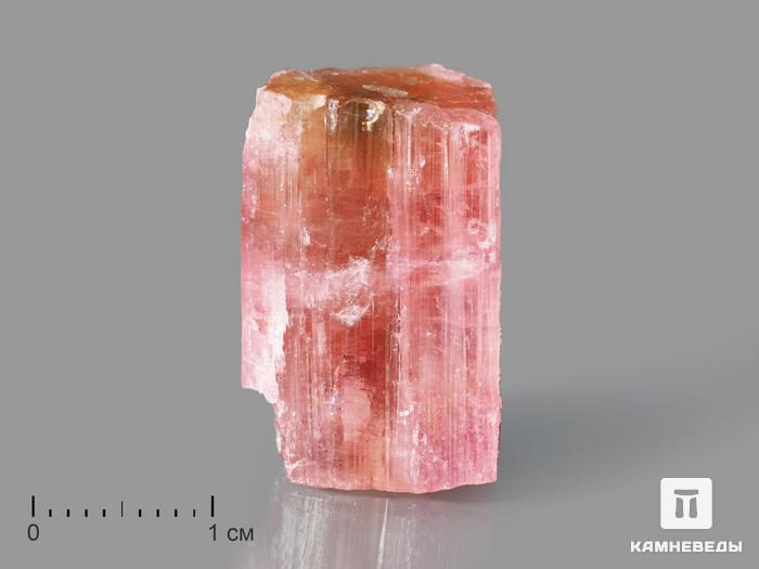 Турмалин (рубеллит), кристалл 2,2х1,5х1,3 см, 10-621/14, фото 1