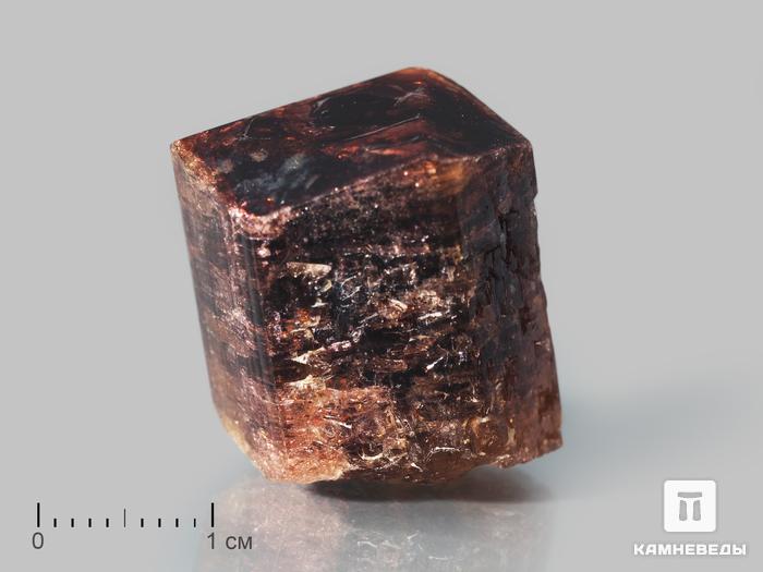 Турмалин (рубеллит), кристалл 1,9х1,7х1,3 см, 10-621/10, фото 1