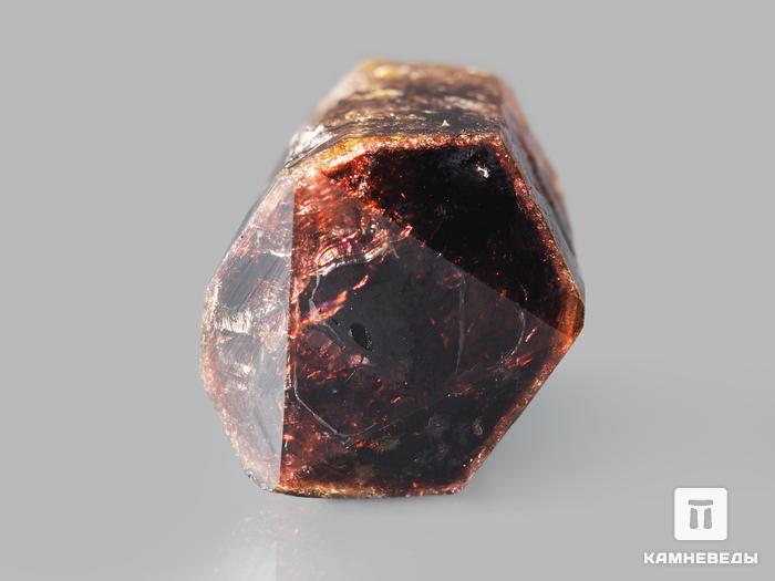 Турмалин (рубеллит), кристалл 1,9х1,7х1,3 см, 10-621/10, фото 2