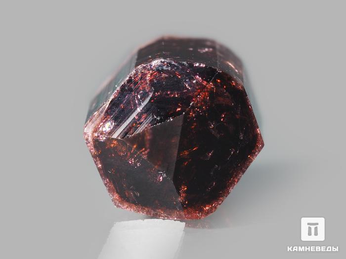 Турмалин (рубеллит), кристалл 1,6х1,2х1,1 см, 10-621/18, фото 2