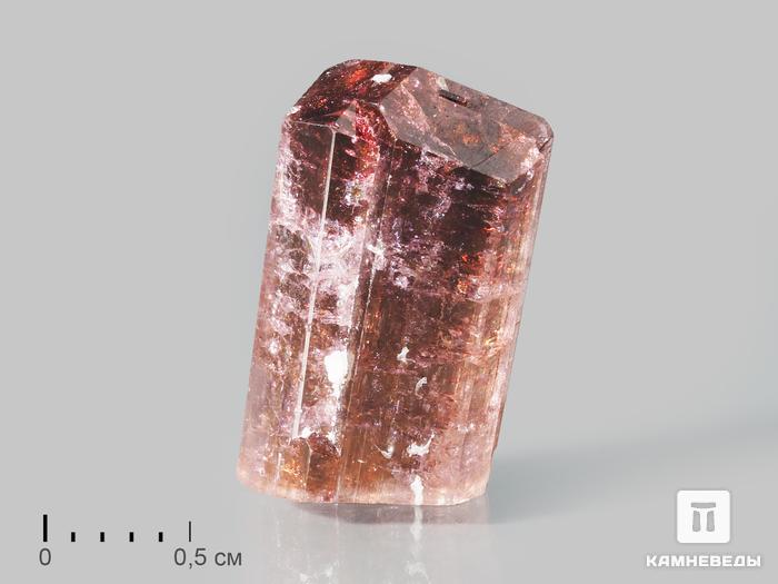 Турмалин (рубеллит), кристалл 1,5х0,9х0,7 см, 10-621/15, фото 1