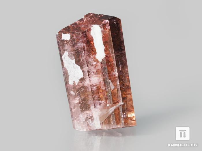 Турмалин (рубеллит), кристалл 1,5х0,9х0,7 см, 10-621/15, фото 2