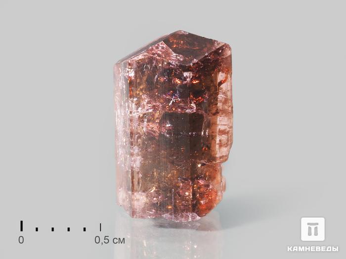 Турмалин (рубеллит), кристалл 1,2х0,7х0,7 см, 10-621/16, фото 1