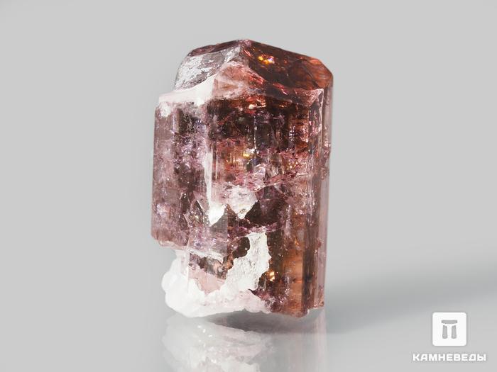 Турмалин (рубеллит), кристалл 1,2х0,7х0,7 см, 10-621/16, фото 2
