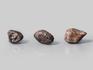 Метеорит NWA 869, 1,8-2,5 см (6-7 г), 10-110/13, фото 2