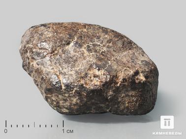 Метеориты. Метеорит NWA 869, 2,5х2х1,5 см (13 г)
