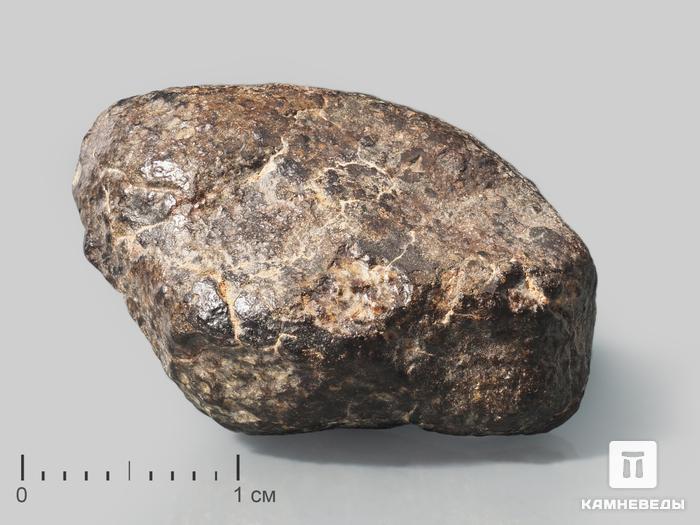 Метеорит NWA 869, 2,5х2х1,5 см (13 г), 10-110/6, фото 1