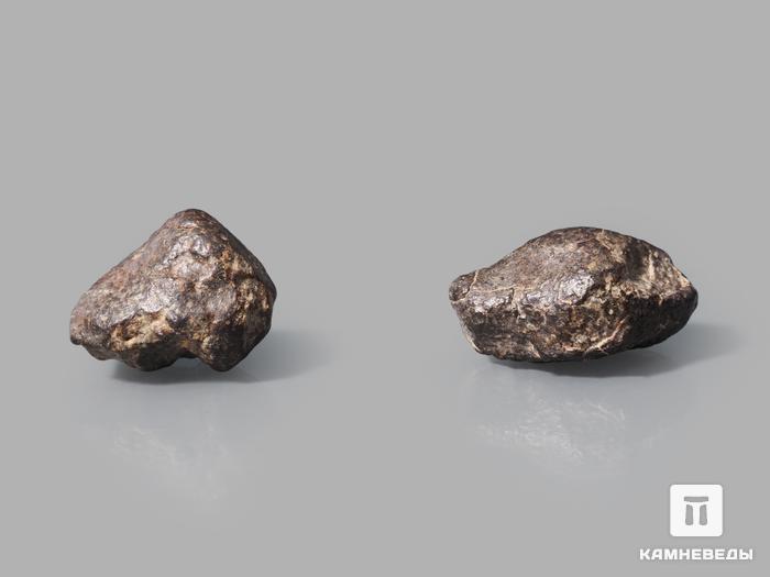 Метеорит NWA 869, 2,5х2х1,5 см (13 г), 10-110/6, фото 2