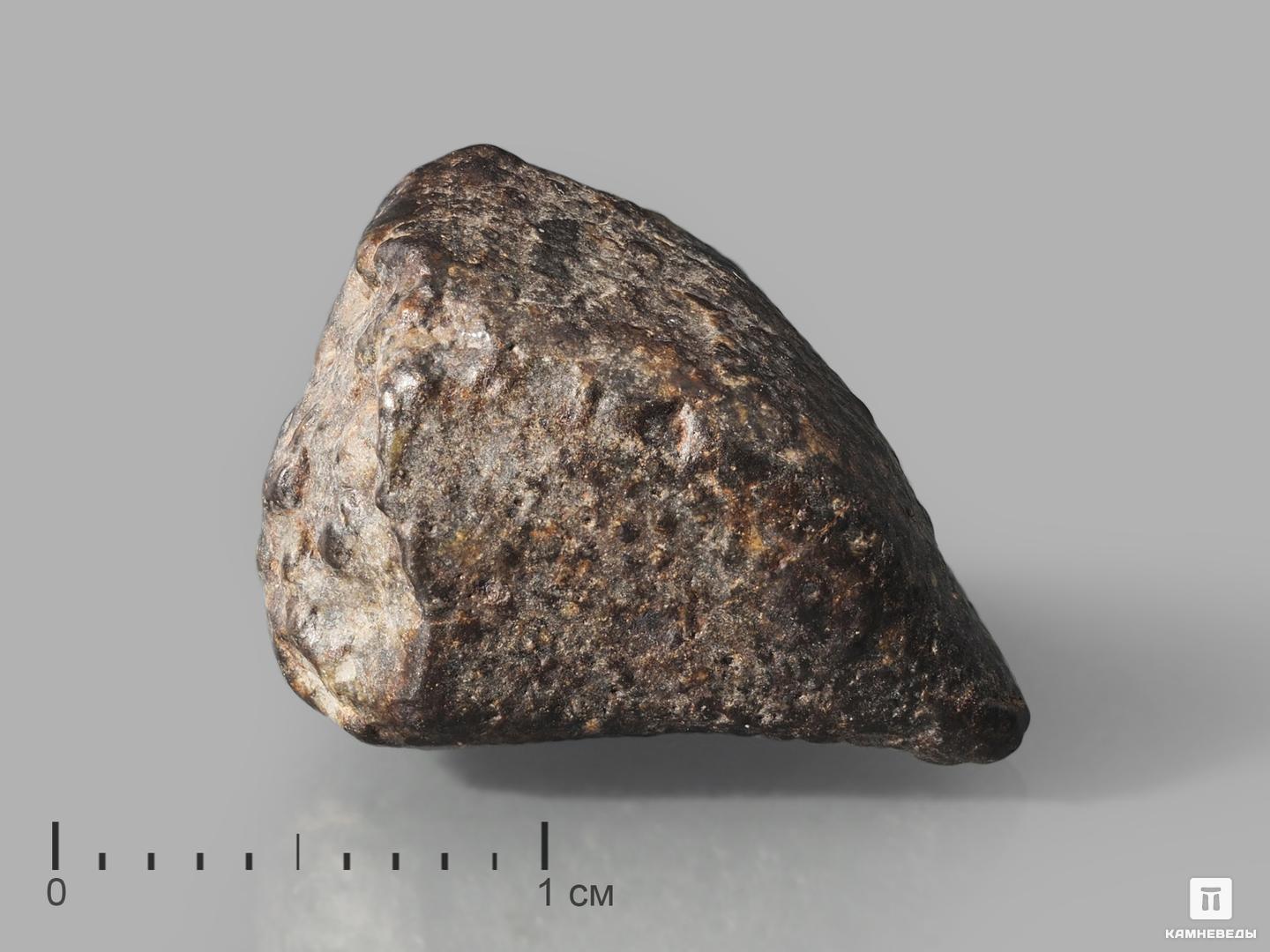 Метеорит NWA 869, 1,5-2 см (3-4 г) каменный мост