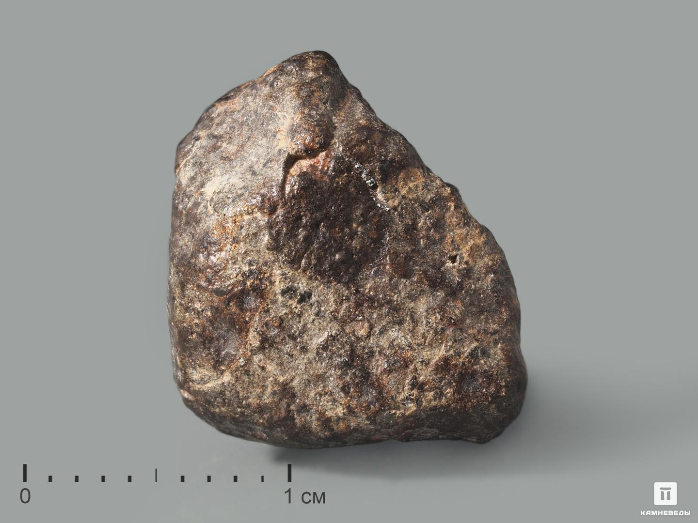 Метеорит NWA 869, 1-1,5 см (2-3 г) каменный мост волк