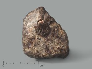 Метеорит NWA 869, 1-1,5 см (2-3 г)