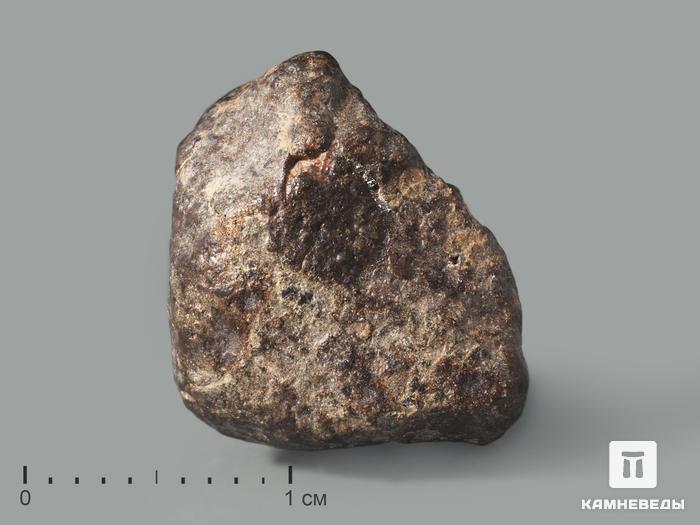 Метеорит NWA 869, 1-1,5 см (2-3 г), 10-110/17, фото 1