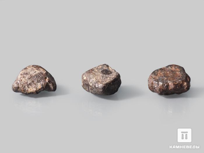 Метеорит NWA 869, 1-1,5 см (2-3 г), 10-110/17, фото 2