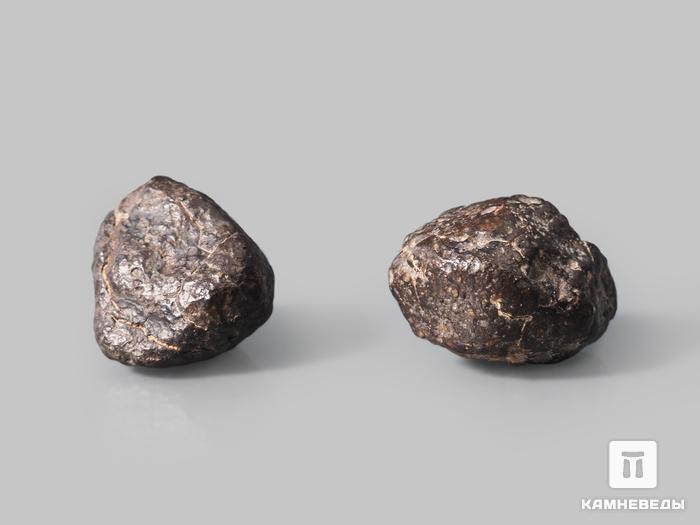 Метеорит NWA 869, 2-3 см (7-9 г), 10-110/12, фото 2