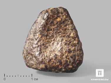Метеориты. Метеорит NWA 869, 2,4х2х1,6 см (11-12 г)