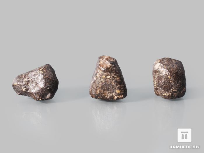 Метеорит NWA 869, 2,4х2х1,6 см (11-12 г), 10-110/10, фото 2