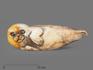 Тюлень из ангидрита, 25х8х8 см, 23-319, фото 1