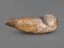 Тюлень из ангидрита, 25х8х8 см, 23-319, фото 2