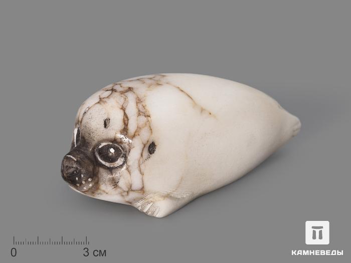 Тюлень из ангидрита, 13х6х5 см, 23-319/1, фото 1