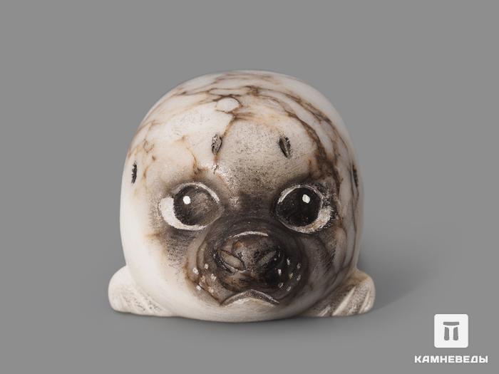 Тюлень из ангидрита, 13х6х5 см, 23-319/1, фото 3