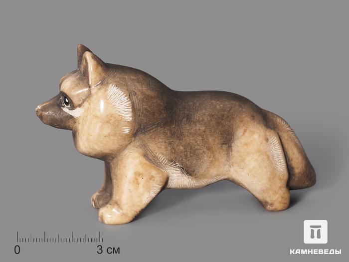 Собака из ангидрита, 10,7х6,3х3,6 см, 23-252/3, фото 1