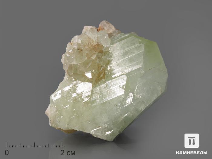 Датолит, кристалл 5-7 см, 10-179/36, фото 1