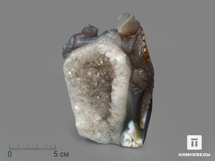 Игуана из агата с жеодой кварца, 14х10,5х5,5 см, 23-39/22, фото 1