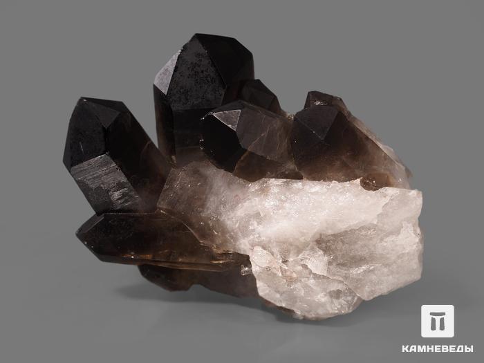 Раухтопаз (дымчатый кварц), сросток кристаллов 9х7,1х6 см, 10-100/30, фото 2