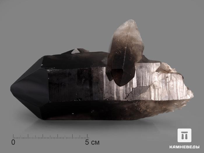 Раухтопаз (дымчатый кварц), сросток кристаллов 12,1х6,9х5,8 см, 10-100/51, фото 1