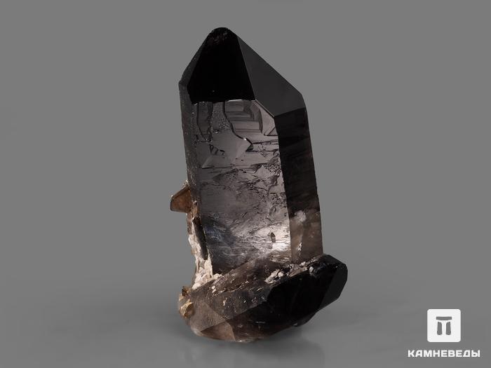 Раухтопаз (дымчатый кварц), сросток кристаллов 9,7х7,2х5 см, 10-100/52, фото 2