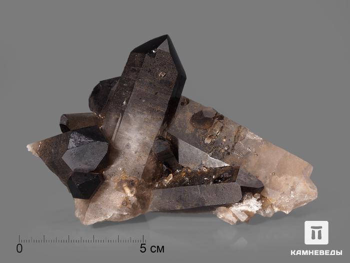 Раухтопаз (дымчатый кварц), сросток кристаллов 9,7-12,6 см, 10-100/45, фото 1